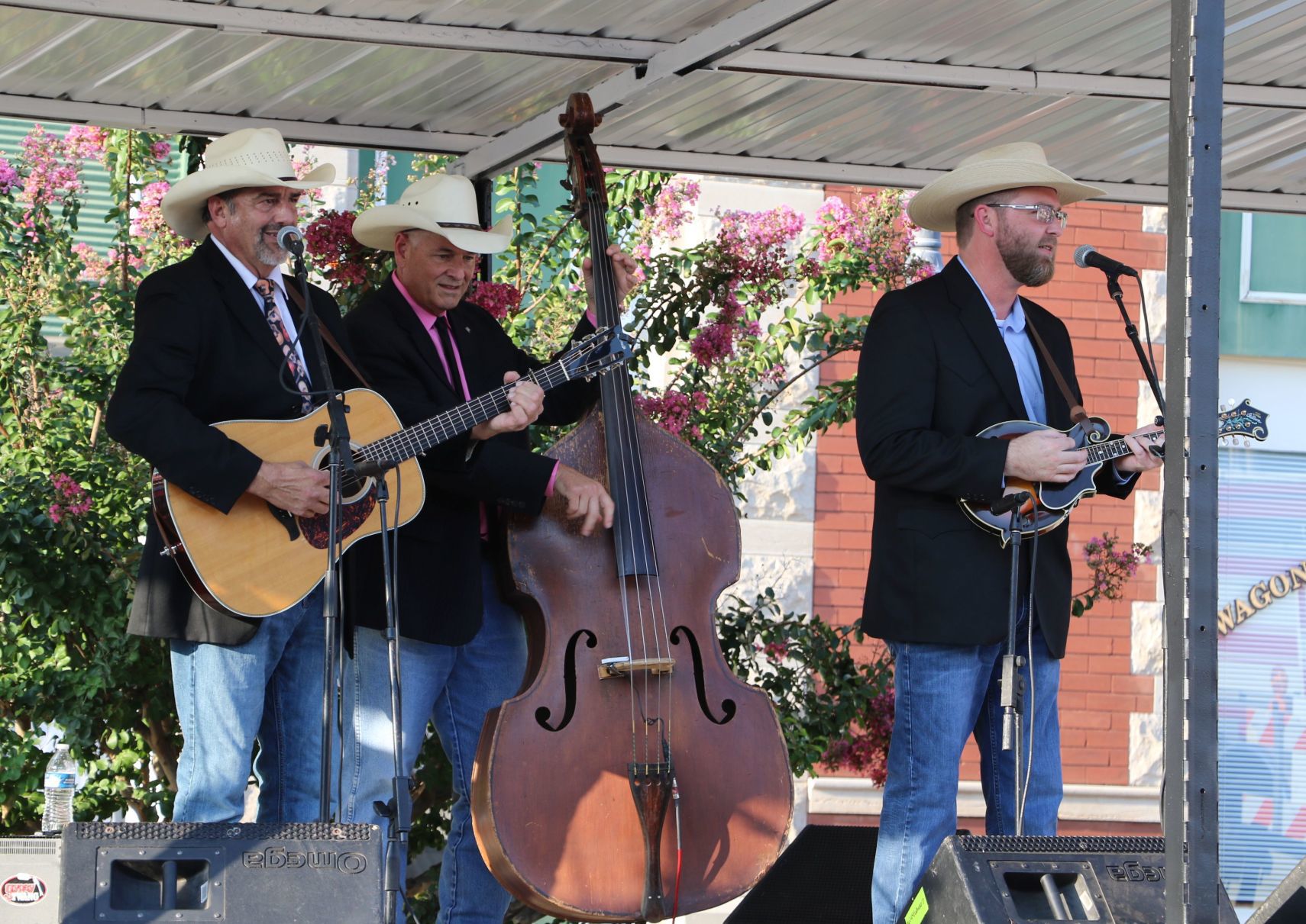 Bluegrass & Chili Festival